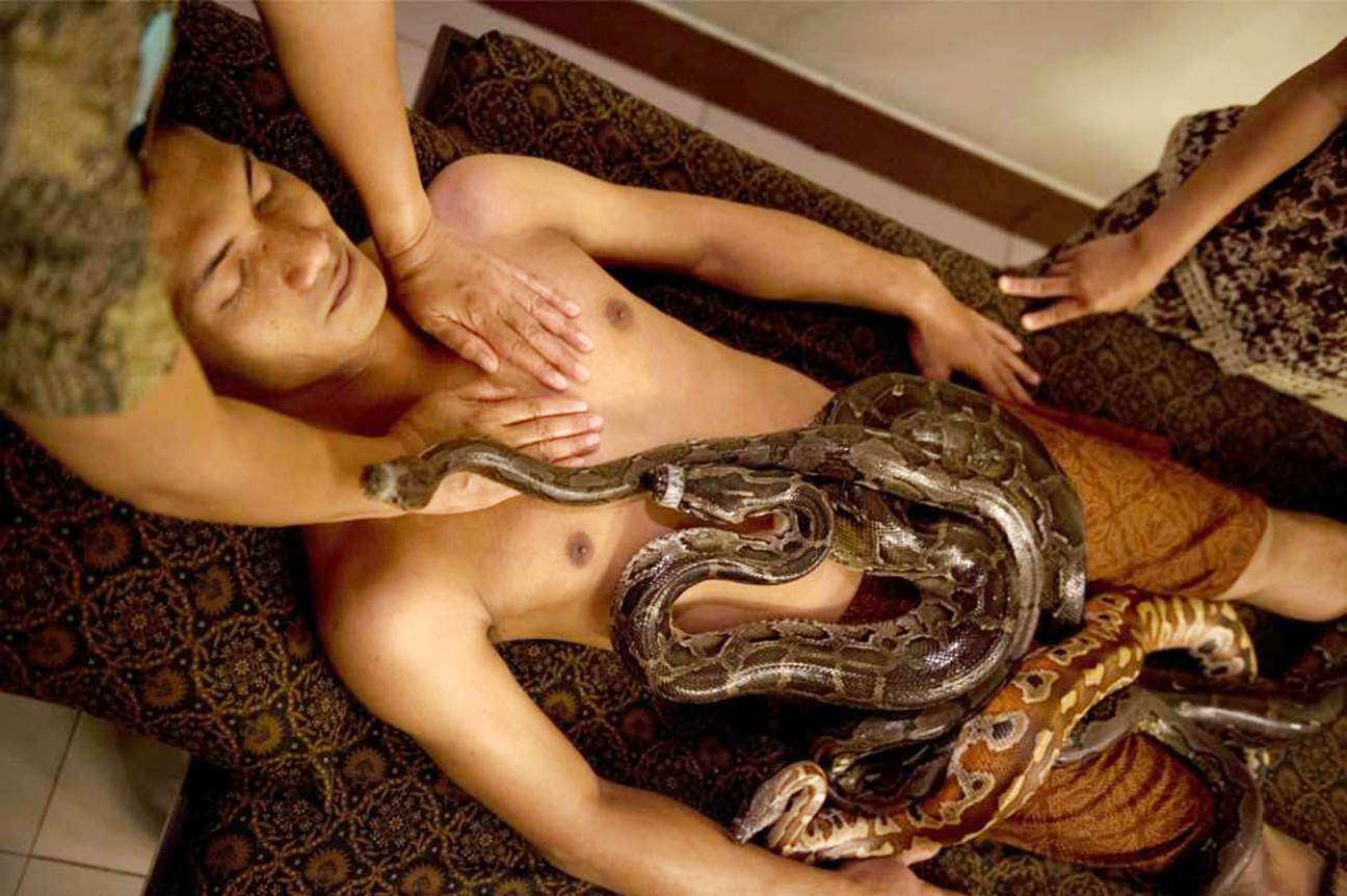В Индонезии практикуют змеиный массаж