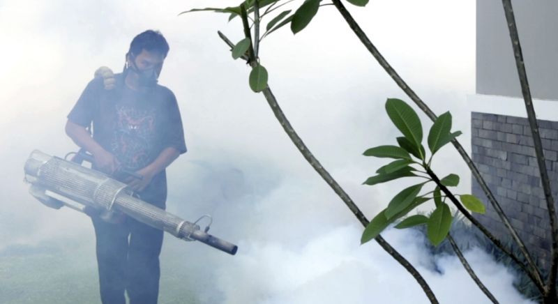 Во Вьетнаме резко возросло число заболеваний денге