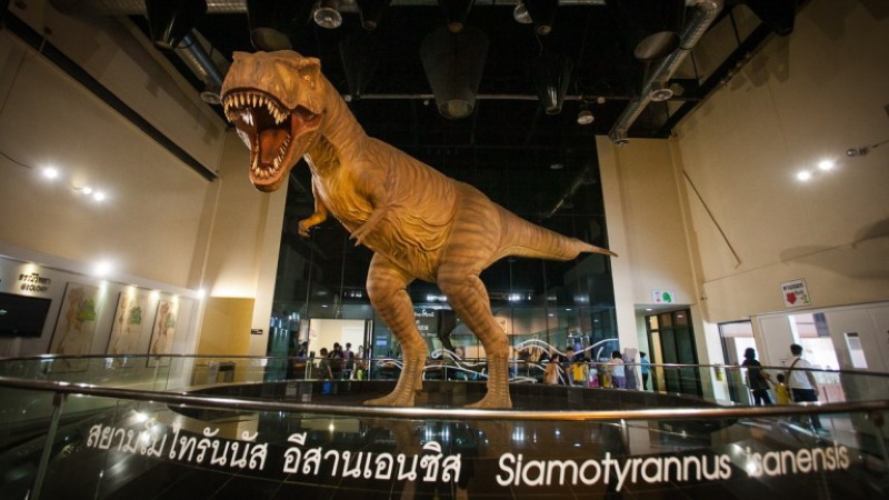 Край динозавров: Что посмотреть в провинции Каласин