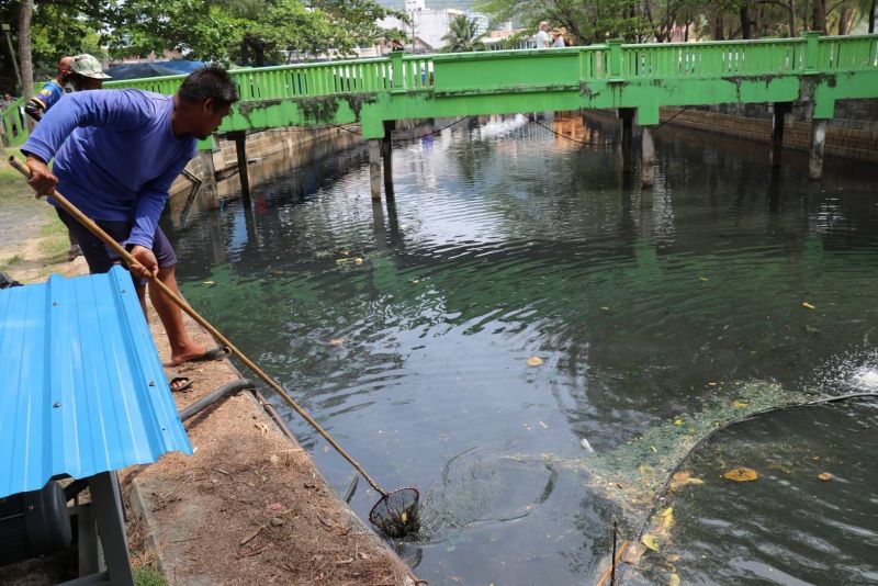 В канале в Камале установили аэратор для оздоровления воды. Фото: PR Phuket