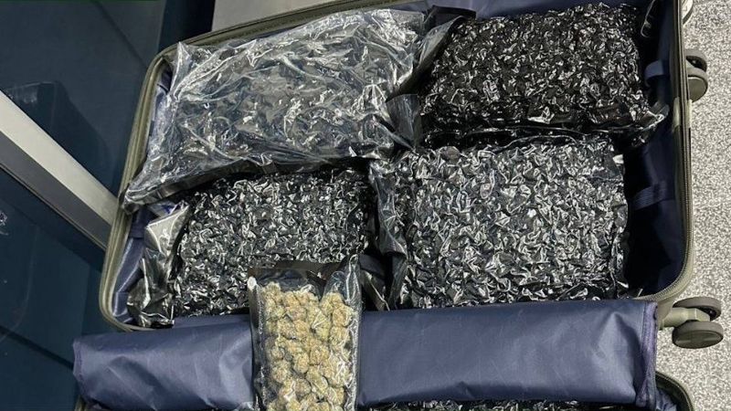 Более 37 кг марихуаны перехватили в аэропорту Пхукета за выходные